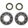 Set rulmenți arbore cotit MSE BETA MOOSE RACING 24-1122