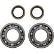 Set rulmenți arbore cotit MSE BETA MOOSE RACING 24-1122 Set rulmenți arbore cotit MSE BETA MOOSE RACING 24-1122 thumb