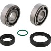 Set de rulmenți și garnituri pentru arbore cotit MOOSE RACING 24-1131 Set de rulmenți și garnituri pentru arbore cotit MOOSE RACING 24-1131 thumb
