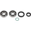 Set de rulmenți și garnituri pentru arbore cotit MOOSE RACING 24-1131 Set de rulmenți și garnituri pentru arbore cotit MOOSE RACING 24-1131 thumb