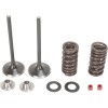 Set de supape de admisie din oțel inoxidabil MOOSE RACING M30-31200