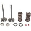 Set de supape de admisie din oțel inoxidabil MOOSE RACING M30-31200 thumb
