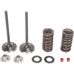 Set de supape de admisie din oțel inoxidabil MOOSE RACING M30-31200 Set de supape de admisie din oțel inoxidabil MOOSE RACING M30-31200