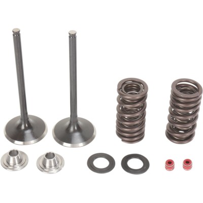 Set de supape de admisie din oțel inoxidabil MOOSE RACING M30-31200