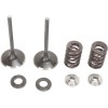 Set de supape de admisie din oțel inoxidabil MOOSE RACING M30-31230