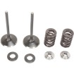 Set de supape de admisie din oțel inoxidabil MOOSE RACING M30-31230 thumb