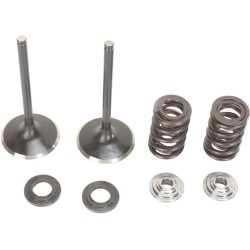Set de supape de admisie din oțel inoxidabil MOOSE RACING M30-31230 Set de supape de admisie din oțel inoxidabil MOOSE RACING M30-31230