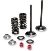 Set supape de evacuare din oțel inoxidabil MOOSE RACING M30-31860 Set supape de evacuare din oțel inoxidabil MOOSE RACING M30-31860 thumb