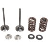 Set supape de admisie din oțel inoxidabil MOOSE RACING M40-40350