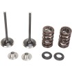 Set supape de admisie din oțel inoxidabil MOOSE RACING M40-40350 thumb