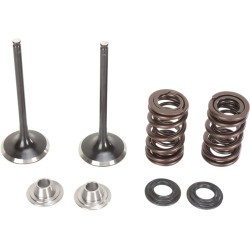 Set supape de admisie din oțel inoxidabil MOOSE RACING M40-40350 Set supape de admisie din oțel inoxidabil MOOSE RACING M40-40350