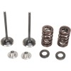Set supape de admisie din oțel inoxidabil MOOSE RACING M40-40380
