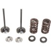 Set supape de admisie din oțel inoxidabil MOOSE RACING M40-40380 Set supape de admisie din oțel inoxidabil MOOSE RACING M40-40380 thumb