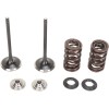 Set supape de admisie din oțel inoxidabil MOOSE RACING M60-60470