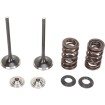 Set supape de admisie din oțel inoxidabil MOOSE RACING M60-60470 Set supape de admisie din oțel inoxidabil MOOSE RACING M60-60470 thumb