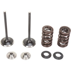 Set supape de admisie din oțel inoxidabil MOOSE RACING M60-60470 Set supape de admisie din oțel inoxidabil MOOSE RACING M60-60470