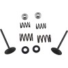 Set supape de admisie din oțel inoxidabil MOOSE RACING M60-60850