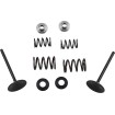 Set supape de admisie din oțel inoxidabil MOOSE RACING M60-60850 Set supape de admisie din oțel inoxidabil MOOSE RACING M60-60850 thumb
