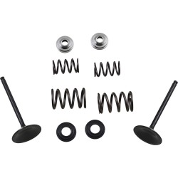 Set supape de admisie din oțel inoxidabil MOOSE RACING M60-60850 Set supape de admisie din oțel inoxidabil MOOSE RACING M60-60850
