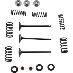 Set supape de admisie din oțel inoxidabil MOOSE RACING M80-80850