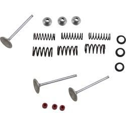 Set supape de admisie din oțel inoxidabil MOOSE RACING M80-80950 Set supape de admisie din oțel inoxidabil MOOSE RACING M80-80950