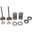 Set supape de evacuare din oțel inoxidabil MOOSE RACING M96-96360 Set supape de evacuare din oțel inoxidabil MOOSE RACING M96-96360 thumb