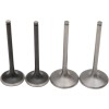 Set de supape pro din titan și oțel inoxidabil MOOSE RACING M30-32285