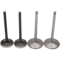 Set de supape pro din titan și oțel inoxidabil MOOSE RACING M30-32285