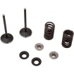 Set supape IN MSE YZ 250F MOOSE RACING M80-82350 Set supape IN MSE YZ 250F MOOSE RACING M80-82350 thumb