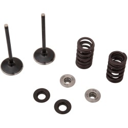 Set supape IN MSE YZ 250F MOOSE RACING M80-82350