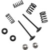 Set supape EX MSE YZ 250F MOOSE RACING M80-82360
