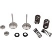 Supapă de admisie MSE CRF450 RX/WE MOOSE RACING M30-32780 thumb