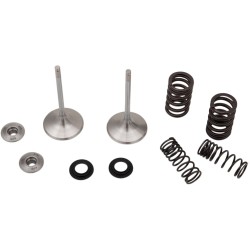 Supapă de admisie MSE CRF450 RX/WE MOOSE RACING M30-32780 Supapă de admisie MSE CRF450 RX/WE MOOSE RACING M30-32780