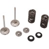 Supapă EX MSE CRF450 RX/WE MOOSE RACING M30-32785