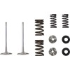 Supapă in MSE KAW 250 MOOSE RACING M40-41650