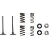 Supapă EX MSE HON 250 MOOSE RACING M30-34010