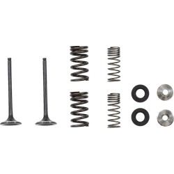 Supapă EX MSE HON 250 MOOSE RACING M30-34010 Supapă EX MSE HON 250 MOOSE RACING M30-34010