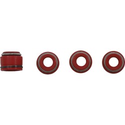 Set garnituri supape CRF250R MOOSE RACING M30-34020 Set garnituri supape CRF250R MOOSE RACING M30-34020