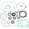 Set garnituri cu etanșări de ulei ATV-UTV MOOSE RACING 811845MSE