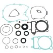 Set garnituri cu etanșări de ulei ATV-UTV MOOSE RACING 811845MSE Set garnituri cu etanșări de ulei ATV-UTV MOOSE RACING 811845MSE thumb