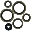 Set de simeringuri offroad MOOSE RACING 822187MSE Set de simeringuri offroad MOOSE RACING 822187MSE thumb