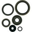 Set de semeringuri offroad MOOSE RACING 822190MSE Set de semeringuri offroad MOOSE RACING 822190MSE thumb