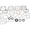 Set garnituri cu etanșări de ulei ATV-UTV MOOSE RACING 811880MSE