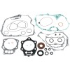 Set garnituri cu etanșări de ulei ATV-UTV MOOSE RACING 811896MSE