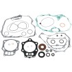 Set garnituri cu etanșări de ulei ATV-UTV MOOSE RACING 811896MSE Set garnituri cu etanșări de ulei ATV-UTV MOOSE RACING 811896MSE thumb