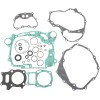 Set garnituri cu etanșări de ulei ATV-UTV MOOSE RACING 811905MSE