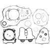 Set garnituri cu etanșări de ulei ATV-UTV MOOSE RACING 811869MSE