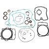 Set garnituri cu etanșări de ulei MOOSE RACING 811343MSE