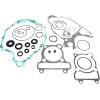 Set garnituri cu etanșări de ulei MOOSE RACING 811642MSE