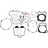 Set garnituri cu etanșări de ulei MOOSE RACING 811690MSE